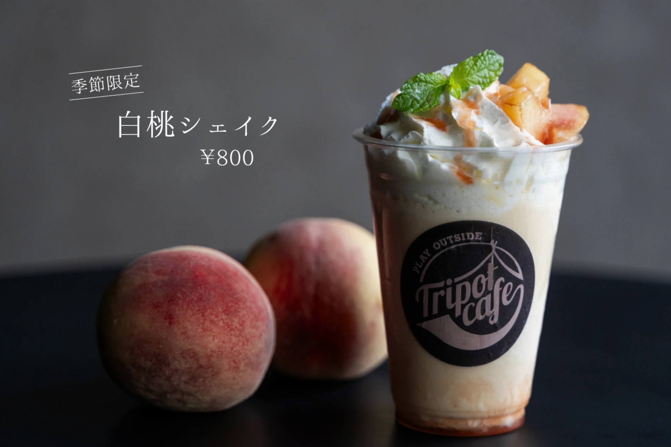 Tripot Cafe 様 / 商品撮影・デザイン